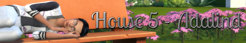 house5banner.png